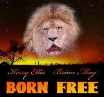 Kerry Ellis & Brian May 'Born Free'