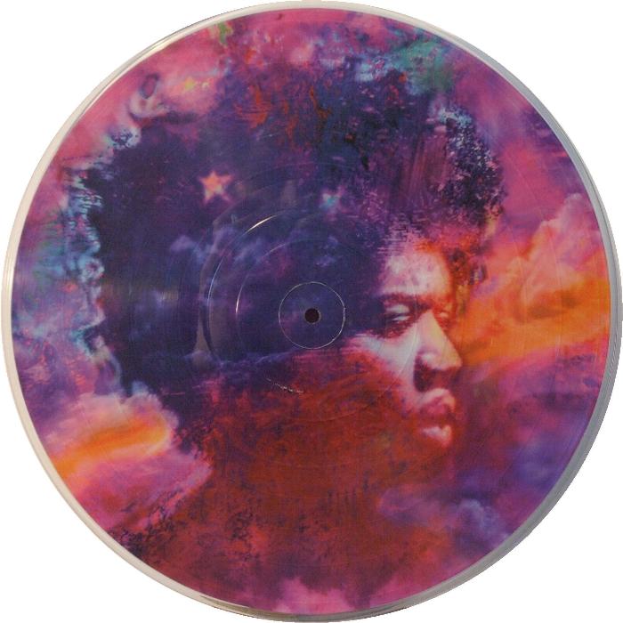 Various Artists 'In from The Storm' US picture disc